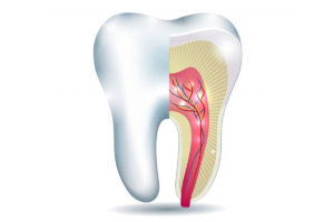 facts about root canal treatment